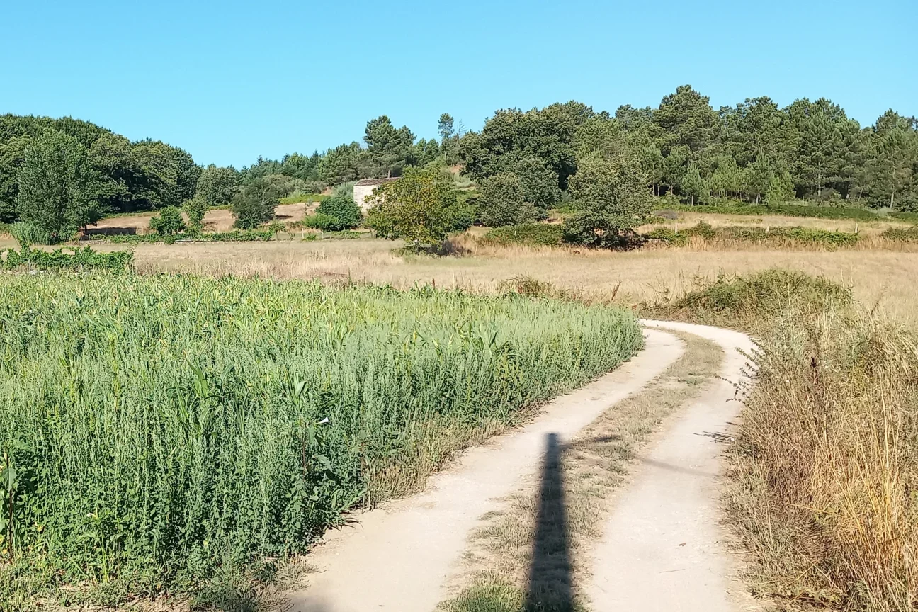 Furtado-Fornos de Algodres1